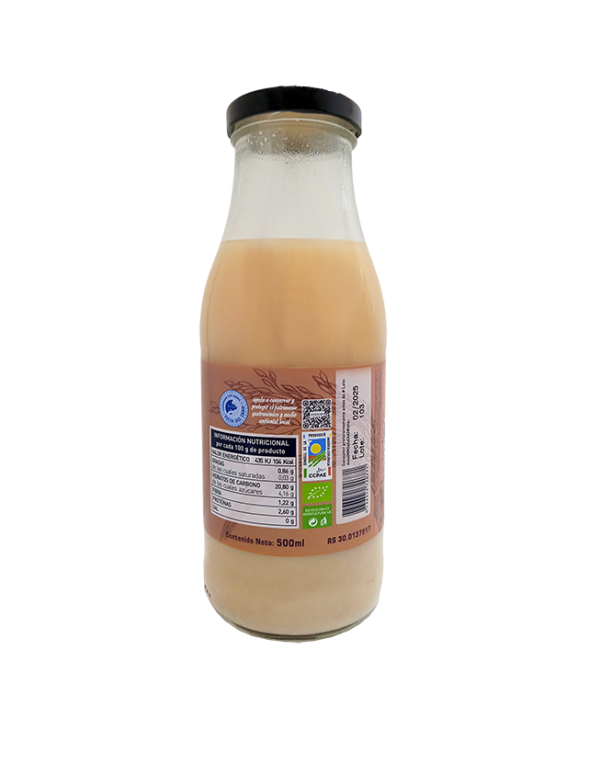 Amazake bebida arroz integral eco